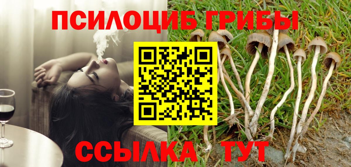 Кашира  Галлюциногенные грибы прущие грибы  Вход с VPN 